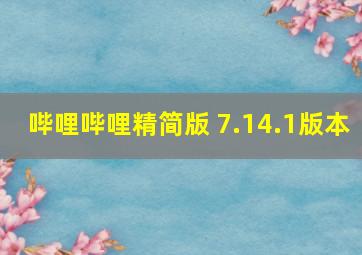 哔哩哔哩精简版 7.14.1版本